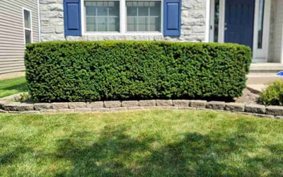 Photo of Aaron S.'s yard after getting landscaping in Mount Gilead, OH