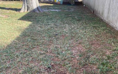 Photo of David D.'s yard after getting landscaping in Wallis, TX
