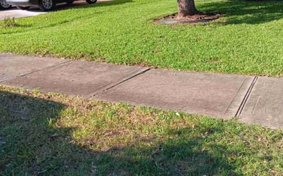 Photo of Shawn W.'s yard after getting landscaping in Richmond, TX