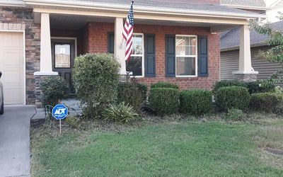 Photo of David D.'s yard after getting landscaping in Lebanon, TN