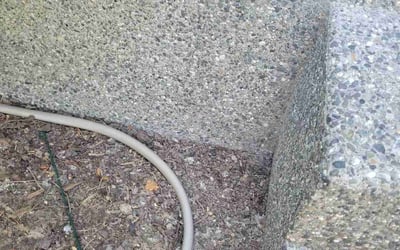 Photo of Jennifer B.'s yard after getting landscaping in North Lakewood, WA