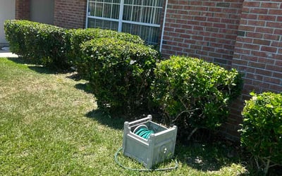 Photo of Teresita F.'s yard after getting landscaping in Penney Farms, FL