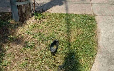 Photo of Andrew E.'s yard after getting landscaping in Hardin, TX