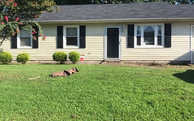 Photo of Amber P.'s yard after getting landscaping in Bena, VA