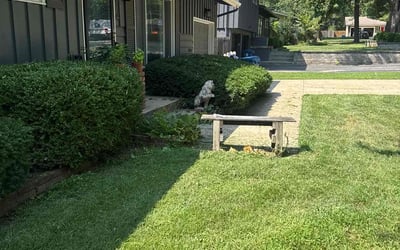 Photo of Brad H.'s yard after getting tree care in Leavenworth, KS