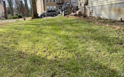 Photo of Mark R.'s yard after getting landscaping in Woodbine, MD