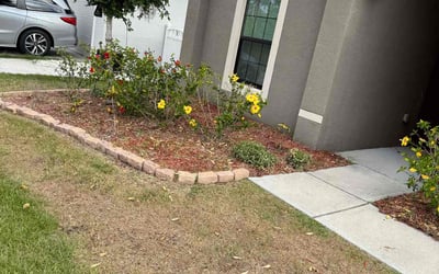 Photo of Lawrence C.'s yard after getting landscaping in Ruskin, FL
