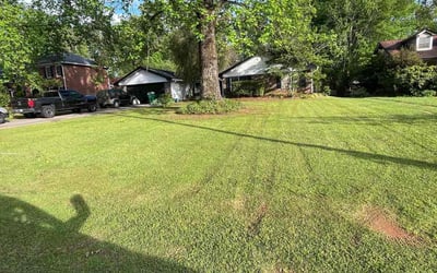 Photo of Brenda E.'s yard after getting tree care in Morrow, GA