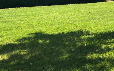 Photo of Ramon B.'s yard after getting landscaping in Dutton, VA