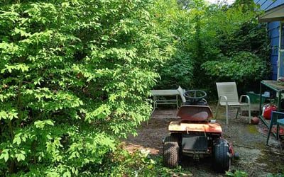 Photo of Angela F.'s yard after getting lawn care in Doylestown, PA