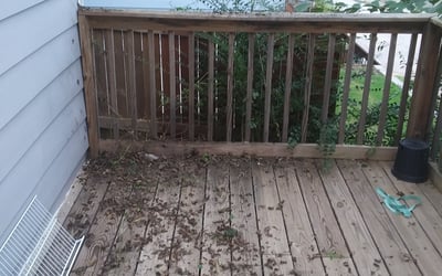 Photo of Richard P.'s yard after getting landscaping in Zebulon, GA