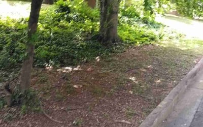 Photo of Jennifer R.'s yard after getting landscaping in Gastonia, NC
