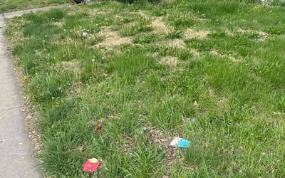 Photo of Daniel A.'s yard after getting landscaping in O Fallon, IL