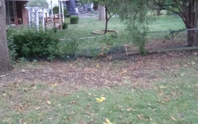 Photo of Rachel M.'s yard after getting landscaping in Buckner, MO