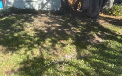 Photo of Jennifer G.'s yard after getting landscaping in Riverview, FL
