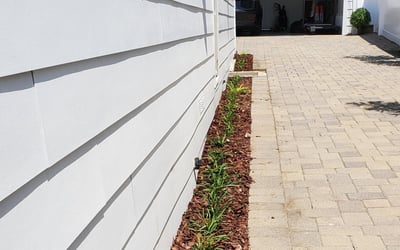 Photo of Alexandra B.'s yard after getting landscaping in Reseda, CA