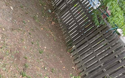 Photo of John M.'s yard after getting landscaping in Warwick, NY