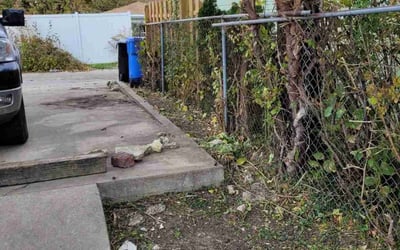 Photo of Stephen G.'s yard after getting landscaping in Carol Stream, IL