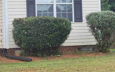 Photo of Tracey A.'s yard after getting tree care in Charlotte, NC