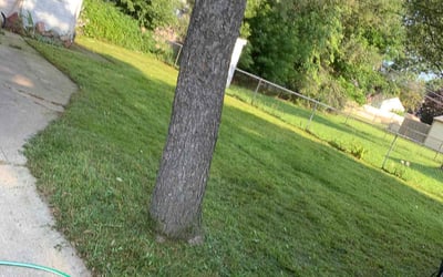 Photo of Monica C.'s yard after getting landscaping in Marquette, MI