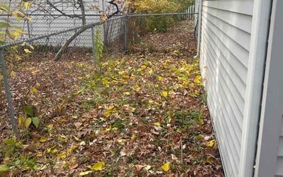 Photo of Leena K.'s yard after getting landscaping in Almont, MI