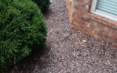 Photo of Anthony F.'s yard after getting landscaping in Toney, AL