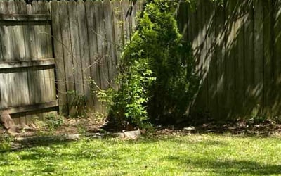 Photo of Larry L.'s yard after getting landscaping in Thorntown, IN