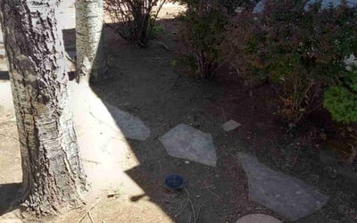Photo of Hanson O.'s yard after getting landscaping in Cripple Creek, CO