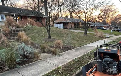 Photo of Pal H.'s yard after getting tree care in Ashburn, VA