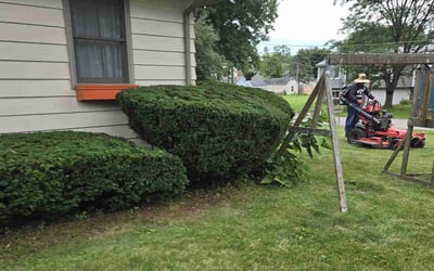 Photo of Rosemary O.'s yard after getting tree care in Zion, IL