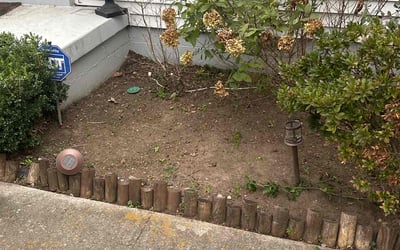 Photo of Taylor M.'s yard after getting landscaping in Carthage, TN