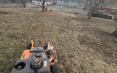 Photo of Randy B.'s yard after getting landscaping in Omaha, NE