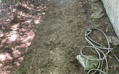 Photo of David C.'s yard after getting landscaping in Springfield, LA