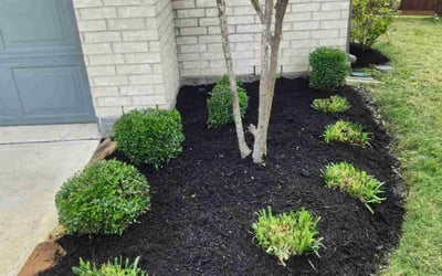 Photo of Robin W.'s yard after getting tree care in Rosenberg, TX