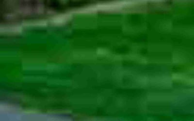 Photo of Larry S.'s yard after getting landscaping in Marysville, WA