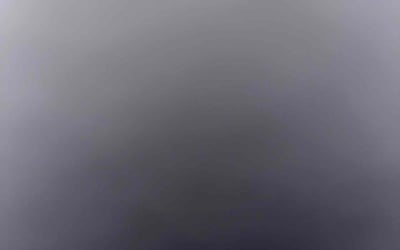 Photo of Shaneka J.'s yard after getting tree care in Maitland, FL