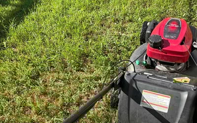 Photo of J W.'s yard after getting lawn care in Abingdon, VA