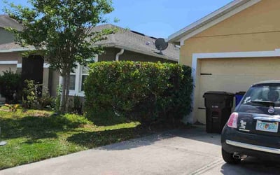 Photo of Domenic A.'s yard after getting tree care in Oviedo, FL