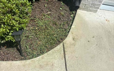 Photo of Kim H.'s yard after getting landscaping in Luthersville, GA