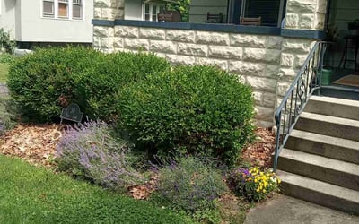 Photo of Margaret F.'s yard after getting landscaping in Chesterville, OH