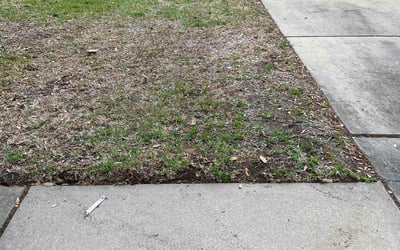 Photo of Nicole M.'s yard after getting landscaping in Thompsons, TX