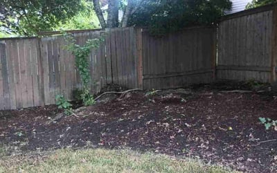 Photo of Mahta T.'s yard after getting landscaping in Canby, OR