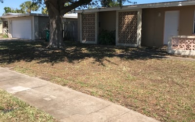 Photo of Timothy D.'s yard after getting landscaping in Patrick Afb, FL