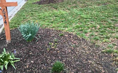 Photo of David H.'s yard after getting landscaping in Brooksville, KY