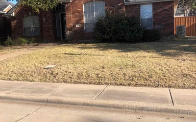 Photo of Daniel R.'s yard after getting landscaping in Celeste, TX