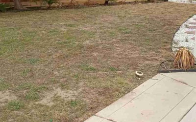 Photo of Healani A.'s yard after getting lawn care in Fresno, CA