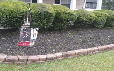 Photo of Mary W.'s yard after getting landscaping in Molena, GA