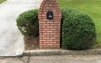 Photo of Daniel A.'s yard after getting landscaping in Oxford, GA