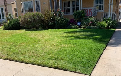 Photo of Marilyn W.'s yard after getting landscaping in Bell Gardens, CA