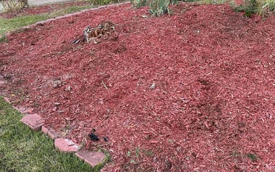 Photo of Isaiah V.'s yard after getting tree care in Fairfax Station, VA